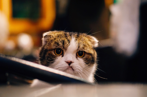 Don't: Target audiences that don't match your ads