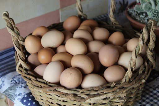 Don't: Put all your eggs in one basket